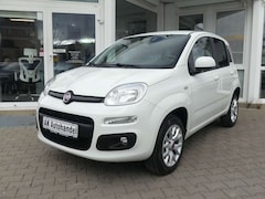 Bild des Angebotes Fiat Panda Lounge Cross Benzin/CNG PDC Klima Sitzhzg.