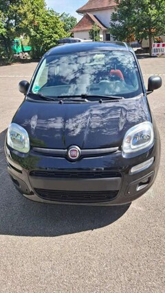 Bild des Angebotes Fiat New Panda Fiat New Panda Easy 1.2 8V 51kW (69 PS)
