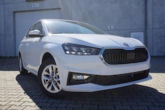 Bild des Angebotes Skoda Fabia 1.0TSI Navi/MirrorLi Kamera LED SHZ