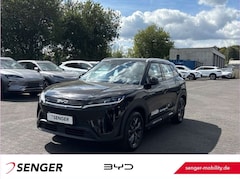 Bild des Angebotes BYD Atto 2 ATTO 2 Boost Panorama Navi Carplay Sitzhzg. 360°