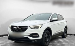 Bild des Angebotes Opel Grandland X Business 1.2 Navi LED Kurvenlicht ACC Mehrzonenkli
