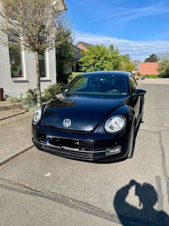 Bild des Angebotes VW Beetle Design