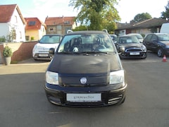 Bild des Angebotes Fiat Panda Panda 1.2 Classic