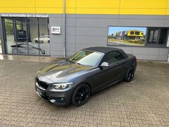 Bild des Angebotes BMW 230 i M Sportpaket/CABRIO/HK SOUNDS*/LED/NAVI