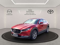 Bild des Angebotes Mazda CX-30 EXCLUSIVE+MATRIX+BOSE+CARPLAY