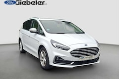 Ford S-Max Hybrid Titanium *Winterpaket*AHK×2xKamera*