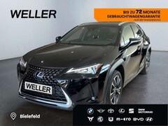 Bild des Angebotes Lexus UX 250h Style Edition *Bi-LED*ACC*CAM*SHZ*CarPlay*