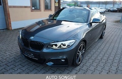 Bild des Angebotes BMW 230 i Sport-Aut. Cabrio *M-SPORTPAKET*H&K*KAMERA*