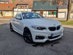 Bild des Angebotes BMW 230 230i CabrioM Sport