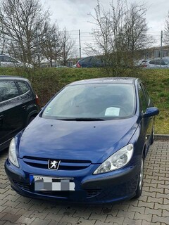 Bild des Angebotes Peugeot 307 110 Grand Filou Cool