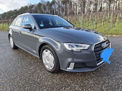 Bild des Angebotes Audi A3 35 TFSI sport