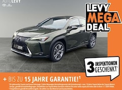 Bild des Angebotes Lexus UX 300e Luxury *M&L*CARPLAY*