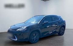 Bild des Angebotes Lexus UX 250h Amazing Edition *Bi-LED*ACC*CAM*CarPlay*