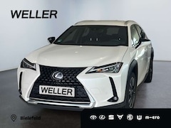 Bild des Angebotes Lexus UX 250h Style Edition *Bi-LED*ACC*CAM*SHZ*CarPlay*