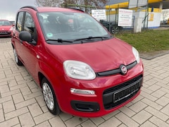Bild des Angebotes Fiat Panda My Panda