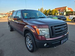 Bild des Angebotes Ford F 150 5.4L V8 Triton XLT 4x4