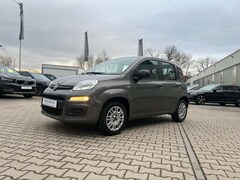 Bild des Angebotes Fiat New Panda Easy 1.2 8V *Klimaanlage PDC DAB+*