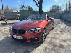 Bild des Angebotes BMW 220 220d Cabrio Aut. M Sport
