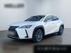 Bild des Angebotes Lexus UX 250h Launch Edition *Navi*LED*CAM*Spurhalteass*