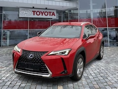 Bild des Angebotes Lexus UX 250h UX 250 h Style Edition wenig KM*Top Kompaktwagen