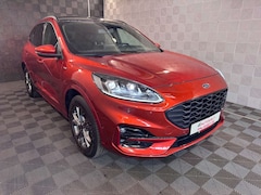 Bild des Angebotes Ford Kuga *ST-LINE X*B&O-AHK-PANO-HUD-LED-TEMPO-APPLE