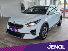 Bild des Angebotes Kia XCeed Edition 7 Lenkrad heizbar, Sitzheizung
