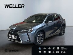 Bild des Angebotes Lexus UX 250h Style Edition *Bi-LED*ACC*CAM*SHZ*CarPlay*