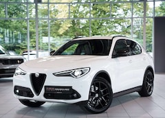 Bild des Angebotes Alfa Romeo Stelvio B-Tech Q4 *2.H *20 *ACC *Sport-Paket