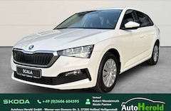 Bild des Angebotes Skoda Scala "Cool Plus", KLIMA, SITZHEIZUNG