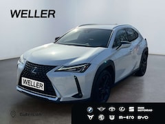 Bild des Angebotes Lexus UX 250h Amazing Edition *Bi-LED*SHZ*CAM*CarPlay*