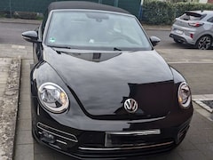 Bild des Angebotes VW Beetle The Beetle Cabriolet 1.2 TSI (BlueMotion Tech) Sou
