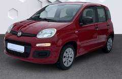 Bild des Angebotes Fiat Panda Panda/Pandina 1.2 Pop