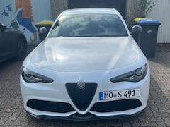 Bild des Angebotes Alfa Romeo Giulia Giulia 2.0 Turbo 16V AT8-Q4 Veloce Ti