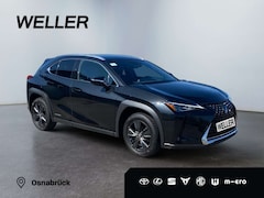 Bild des Angebotes Lexus UX 250h Amazing Edition *Bi-LED*ACC*CAM*CarPlay*