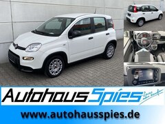 Bild des Angebotes Fiat Panda 1.0 Mild Hybrid  Base Klima DAB