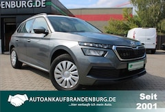 Bild des Angebotes Skoda Kamiq Active