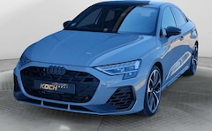 Audi S3 2.0 TFSI q. S-Tronic, Panoramadach,
