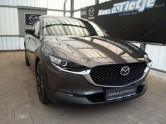 Bild des Angebotes Mazda CX-30 Homura 2WD Kamera*GJR*Navi*
