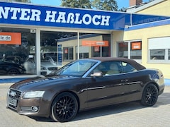 Bild des Angebotes Audi A5 Cabriolet 3.0 TDI quattro Sportpaket 20"