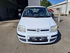 Bild des Angebotes Fiat Panda Panda 1.2 Dynamic