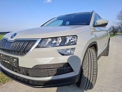 Bild des Angebotes Skoda Karoq Karoq 2.0 TDI SCR 4x4 / Ambition