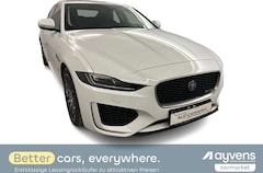 Jaguar XE P250 Aut.