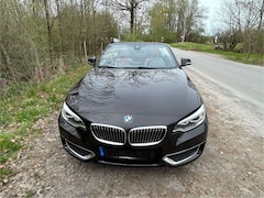 Bild des Angebotes BMW 220 220i Cabrio Aut. Luxury Line