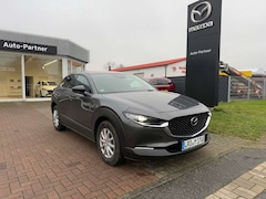 Bild des Angebotes Mazda CX-30 2.5L e-SKYACTIV G140 Homura