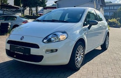 Bild des Angebotes Fiat Punto Young Edition *Dash-Cam*