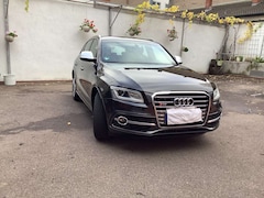 Bild des Angebotes Audi SQ5 Q5 Diesel 3.0 TDI quattro tiptronic