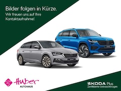 Skoda Citigo e iV 0.0 Direktantrieb - Best of