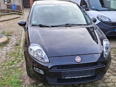 Bild des Angebotes Fiat Punto