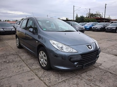 Bild des Angebotes Peugeot 307 Grand Filou Cool
