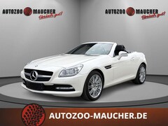 Bild des Angebotes Mercedes-Benz SLK 250 1.8 CGI NACKENHEIZUNG/NAV/SHZ/PANO